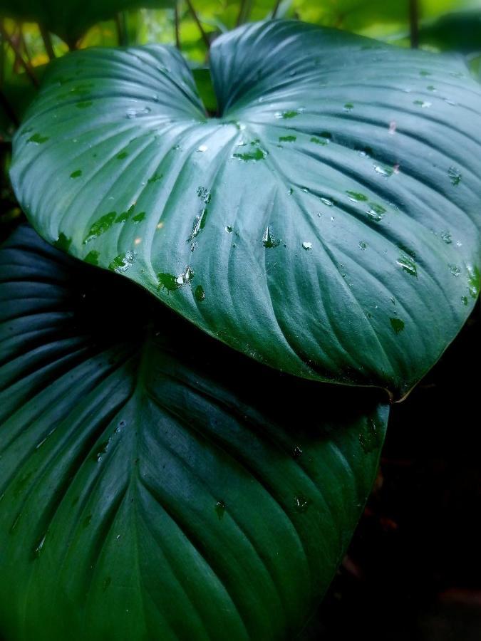 Finca Kobo Palo Seco Eksteriør billede