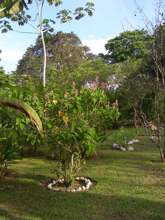 Finca Kobo Palo Seco Eksteriør billede