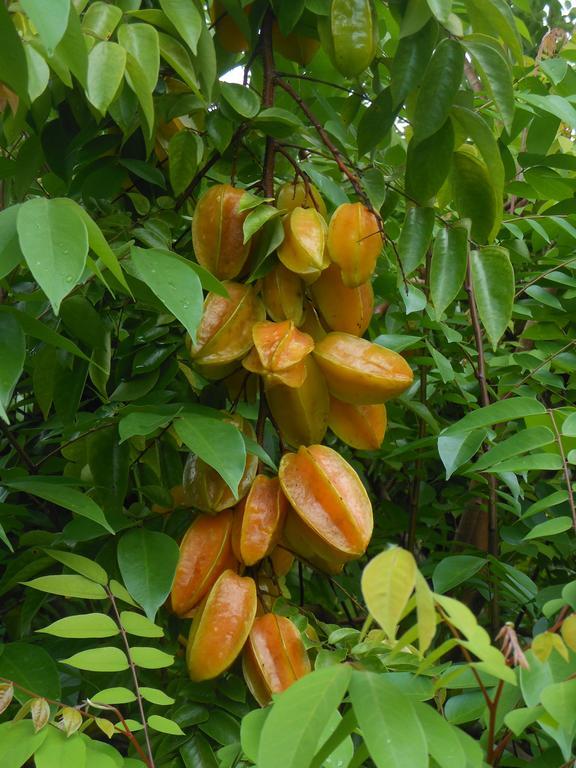 Finca Kobo Palo Seco Eksteriør billede